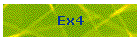 Ex4